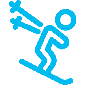Logo sports-alpins